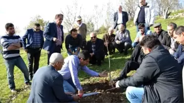 Niksarlı Ceviz Üreticilerine Budama Eğitimi