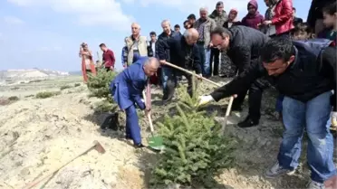 Deski'den Örnek Davranış