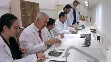 Hamsiyi İşleyip Sattık, Avrupa'ya Hamsi İhracatını Katladık