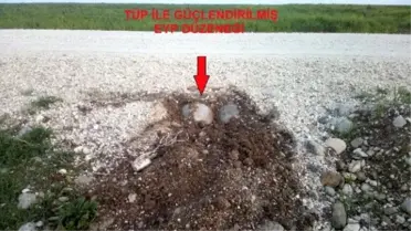 Sur'da Faciadan Dönüldü