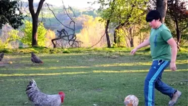 Futbol Sihirbazı 'Horozoviç'