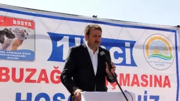 Bingöl'de Buzağı Yarışması Yapıldı