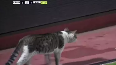 Kasımpaşaspor-Beşiktaş Maçında Davetsiz Misafir