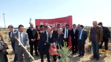 Yyü'de Yılın İlk Fidanları Diktirildi
