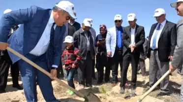 Ereğli'de 6 Bin Fidan Toprakla Buluşturuldu