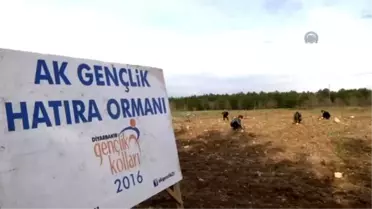 Şehitlerin Anısına Diyarbakır'da Hatıra Ormanı