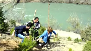 Tunceli Barosu Tahir Elçi Anısına Barış Ormanı Oluşturdu