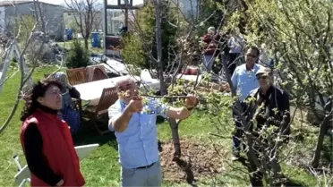 Tepebaşı'nda Meyve Ağaçları ve Üzüm Bağları Budandı