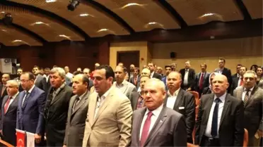 İhracatçılardan Zeytinyağı Fiyatı Çıkışı