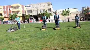 Eyyübiye'de Yeşil Alanlara Bakım Çalışmaları Devam Ediyor
