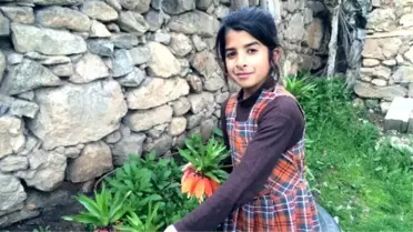 Hüzün Çiçekleri Ters Laleler Açmaya Başladı