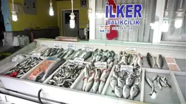 Tezgahlarda Hamsinin Yerini Levrek ve Çipura Aldı
