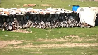 Hizan Organik Bal'da Marka Olma Yolunda
