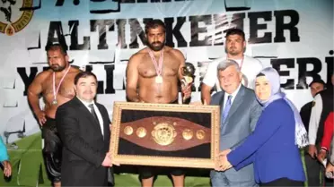 8. Seka Park Altın Kemer Yağlı Güreşleri 7 Mayıs'ta yapılacak