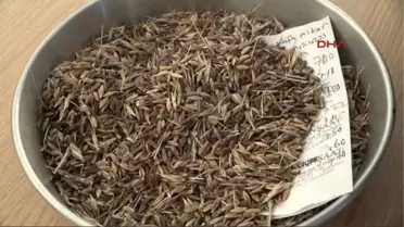 Şanlıurfa?da Sezonun İlk Arpasını Üreten Çiftçiye Altın