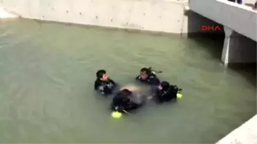 Konya Serinlemek İçin Sulama Kanalına Giren Afgan Tarım İşçisi, Boğuldu