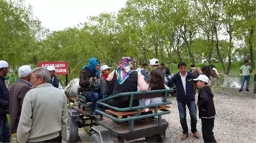 Sultan Sazlığı Fotosafari'ye Büyük İlgi