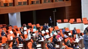 Hdp'li Toğrul'dan İş Kanunu Protestosu