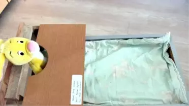 Aydın'da 'Şimdi Düşünme Zamanı' Projesi Değerlendirildi