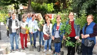 CHP Ödemiş'ten Annelere Meyve Fidanı