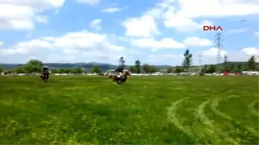Balıkesir Rahvan Atlar Bigadiç'te Yarıştı