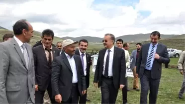Adı Hatıra Ormanına Verilen Şehit Üsteğmen Darboğaz'ın Halası Gözyaşlarına Boğuldu