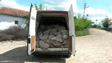 Keşan'da 2 Ton 870 Kilo Kaçak Et Ele Geçirildi