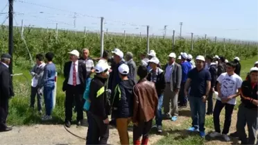 Kulu'da Dünya Çiftçiler Günü Kutlandı