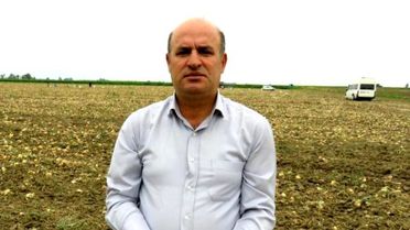 Tarlada Kalan Kuru Soğan, Hayvan Yemi Oldu