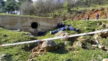 Uludağ Ormanlarındaki Çifte İnfaza Çifte Müebbet Talebi