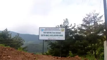 Köylüye Yeni Gelir Kapısı Trüf Üretim Ormanı