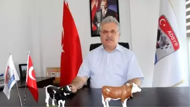 Sağlıklı Olmak İçin Yaşam Boyu Süt Tüketilmeli'
