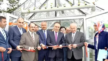 Dap İdaresi'nin Desteklediği Projeler Bir Bir Açılıyor