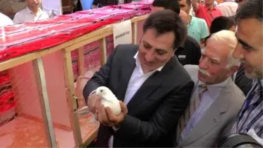 Dünya Barışı Umuduyla 63 Güvercin Gökyüzüne Bırakıldı