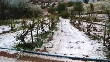 Ergani'nin 40 Köyünü Dolu Vurdu Üretici Perişan