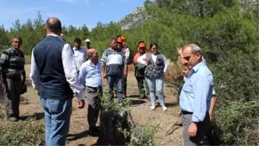 Aydın ve Muğla'da 75 Bin Delice Aşılanıyor