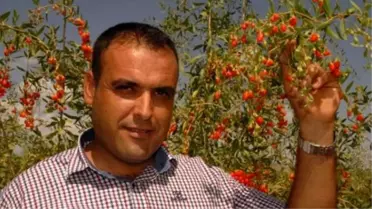 'Mutluluk Meyvesi' Van'da Üretilecek
