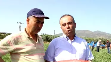 Salihli'de 'Karpuz' Tepkisi