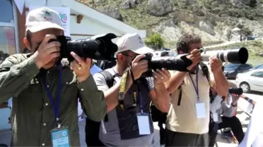 Nallıhan Kuş Cenneti 4. Foto-safari Fotoğraf Yarışması Başladı