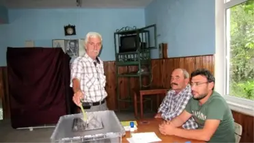 Hisarcık'ta 2 Köy ve 1 Mahallede Muhtarlık Seçimi Yapıldı