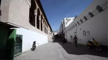 Zeytune Camisi'nde Yüzyıllara Dayanan 'İlim Halkaları'