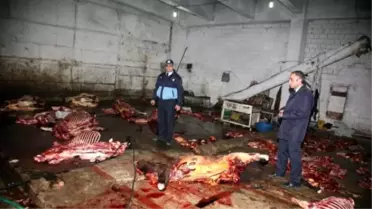 Korkunç İddia! Yarış Atları Sucuk mu Oluyor