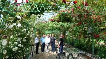 Konya'da Lavanta ve Gül Üretimi Artırılacak