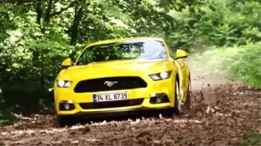Ford Türkiye'den Babalar Günü Kampanyası
