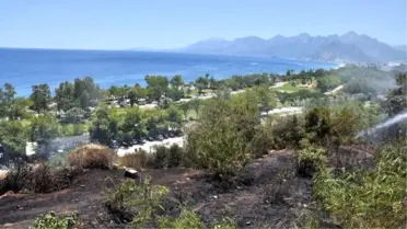 Konyaaltı Beach Park'ta Çıkan Yangın Paniğe Neden Oldu