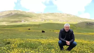 Büyük Tepkilere Neden Olan 'Yeşil Yol Projesi' Tüm Hızıyla Sürüyor
