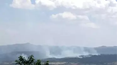 Zorda Kalan Teröristler Ormanlık Alanı Ateşe Verdi