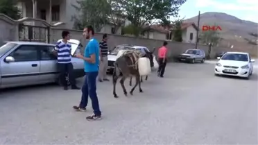 Konya - 30 Gündür Eşeklerle Evlerine Su Taşıyorlar