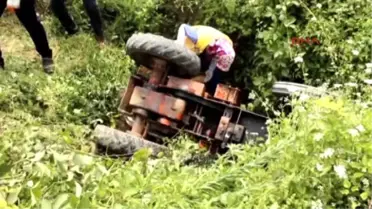 İneği Traktörle Yakalamak İsterken Şarampole Devrildiler