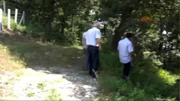 Zonguldak Altın Diş Söylentisi Mezar Açtırdı